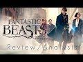 Fantastic Beasts and Where to Find Them - Analysis and Review