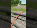 Pickup truck pushed to its limit | Farming Simulator 25 #farmingsimulator #trucks