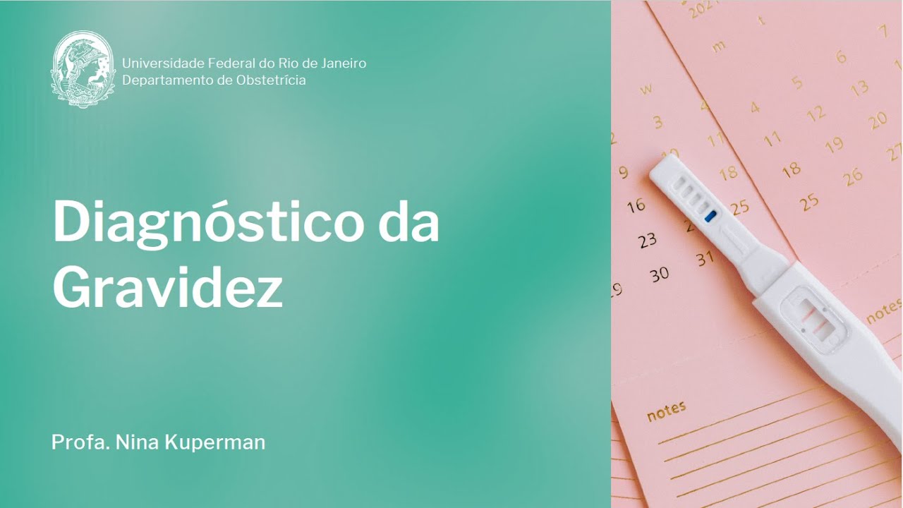 Diagnóstico da Gravidez - YouTube