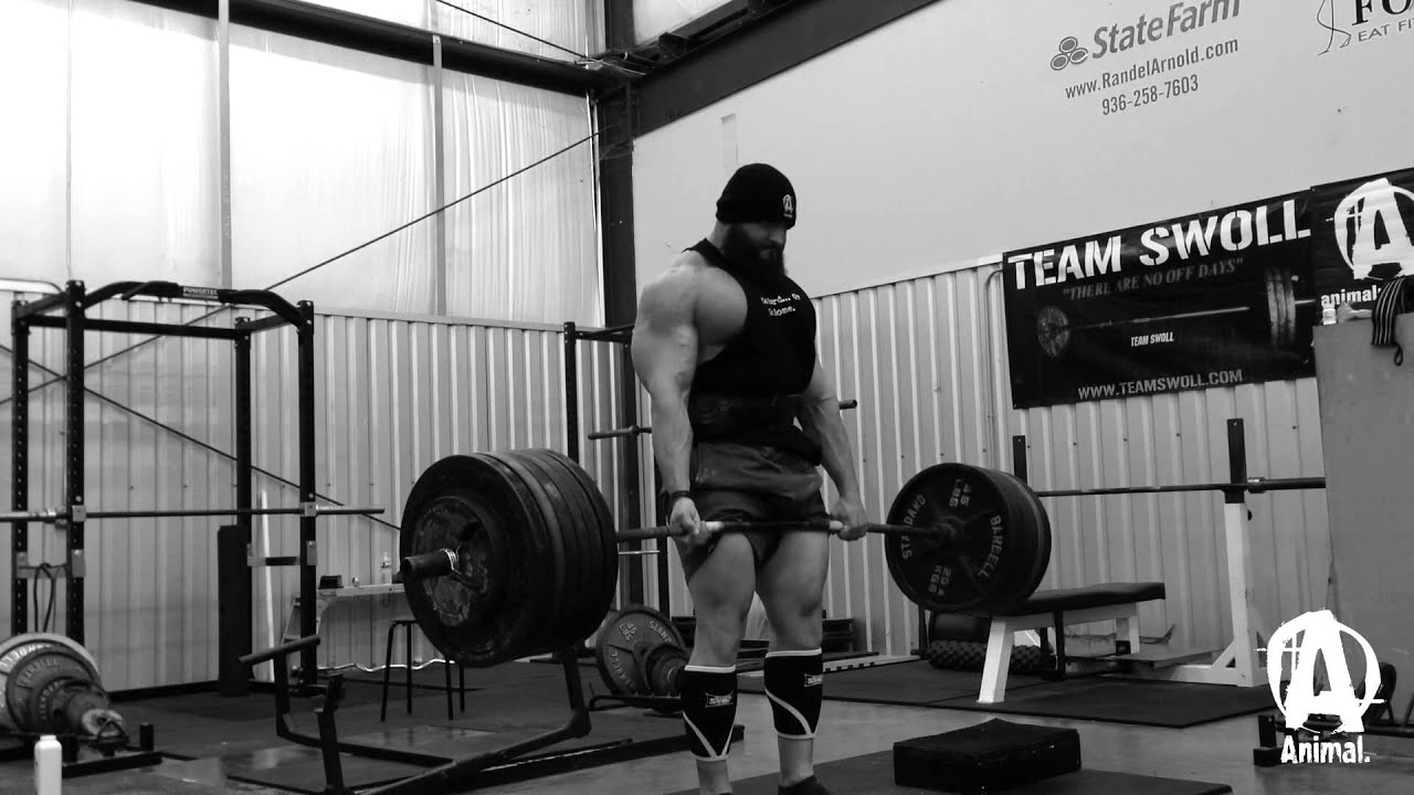 The Animal Underground BJ Whitehead Training YouTube