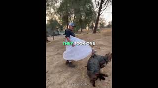 His Turkeys Got Revenge And He Wasnt Ready