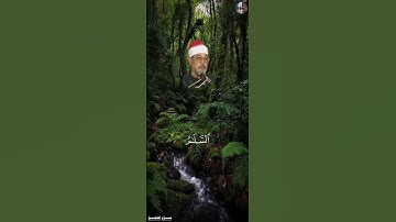 هُوَ ٱللَّهُ ٱلَّذِي لَآ إِلَٰهَ إِلَّا هُوَ [ سورة الـحـشـر , ٢٣ ] - سيد سعيد  #قرآن