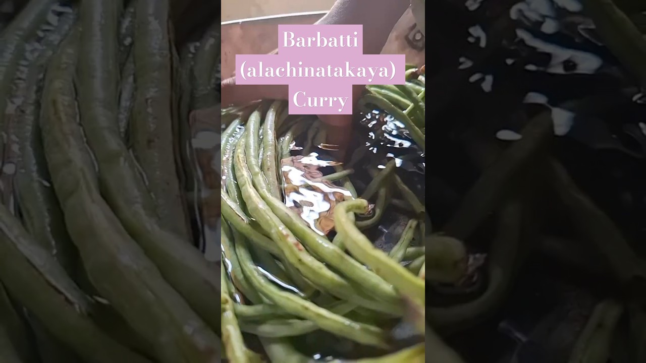 Barbatti curry (alachintakaya) Cowpea beans recipe