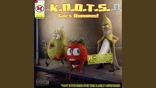 Madagascar - K.N.O.T.S. Landing