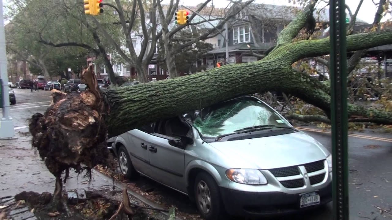 Sandy Strikes Brooklyn Library