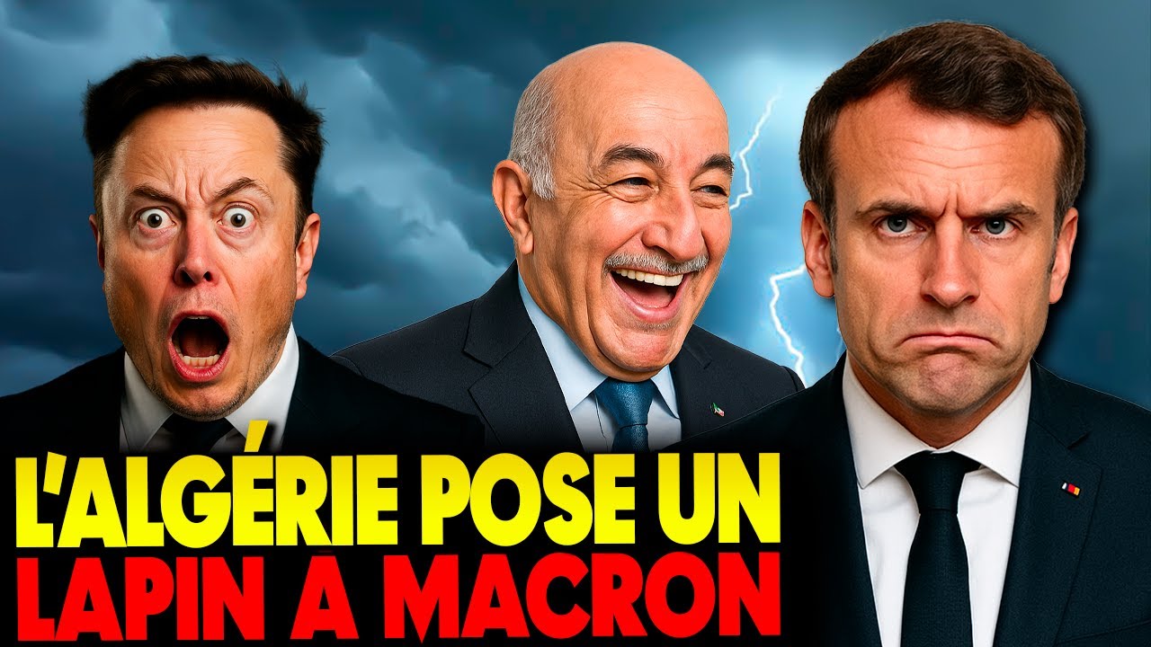 L'Algérie boycott Macron au G20. Elon Musk démasque les faux profil sioniste et Anti Tebboune