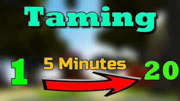 How To Level Up Taming FAST / Hypixel SkyBlock Guide