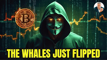 Bitcoin Whales Just Reversed Their Entire Strategy — Here’s What Changed