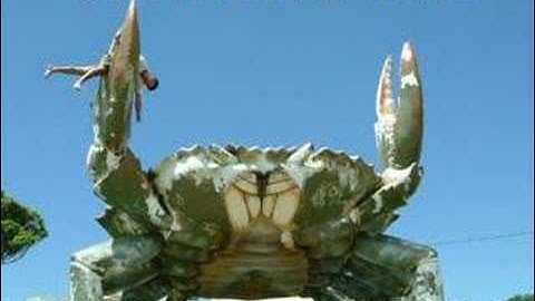 GIANT ENEMY CRAB