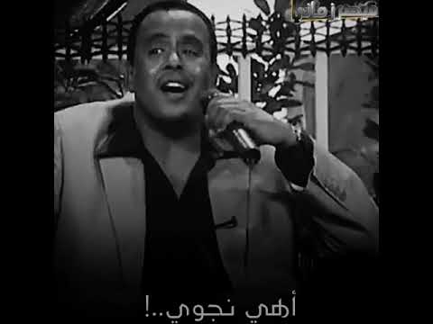 نادر خضر أبني عشك ياقماري قشه قشه