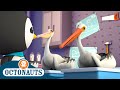 Octonauts - The Pelicans | Cartoons for Kids | Underwater Sea Education