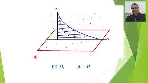 Flow due to a plane plate suddenly set in motion