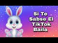 Si Te Sabes El Tiktok Baila! - 2021