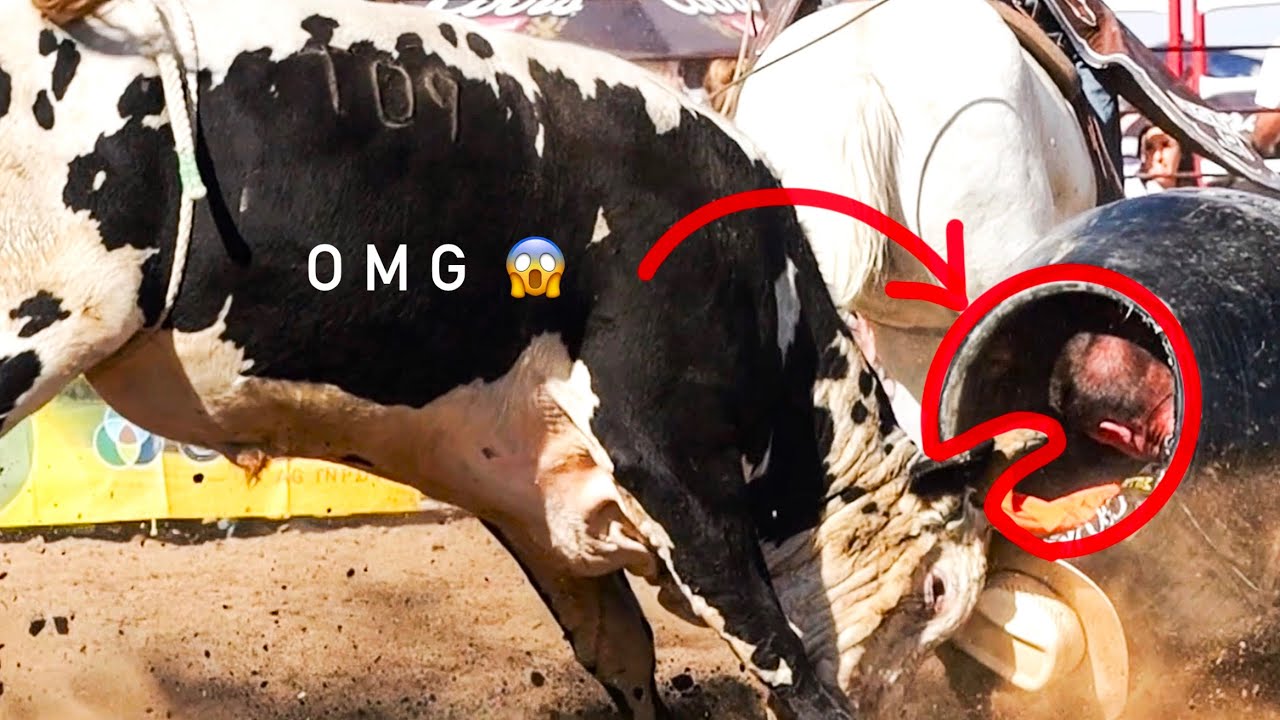 GET IN THE BARREL, DARRYL! bull rams barrel with rodeo clown in it 