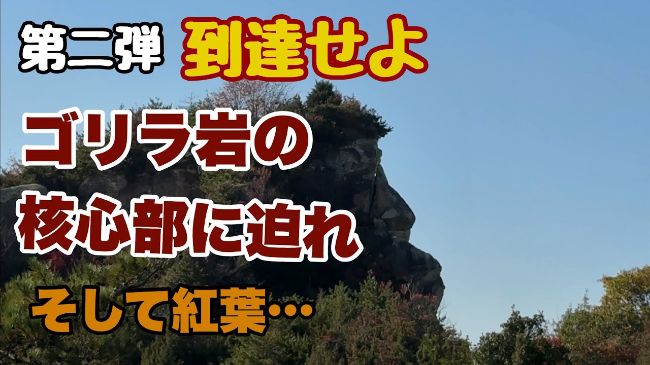 高砂市【オレの冒険】伊保山のゴリラを攻略せよ！