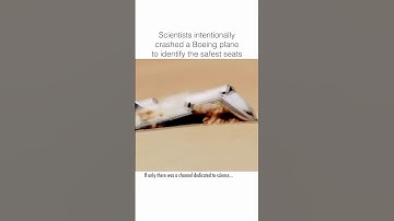 Scientists Reveal How to Survive a Plane Crash