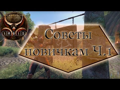 Видео: Защо няма Elder Scrolls MMO