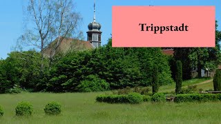 Trippstadt