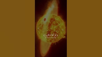 إذا كنت تحب الله ضع متابعة 🫡❤️ #القرآن_الكريم #elmulquranعلم #اكسبلور #لايك #آيات_القرآن #المصحف