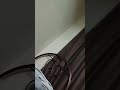 testing shorts craetion tool.