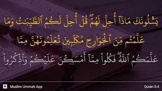 Al-Ma'idah ayat 4