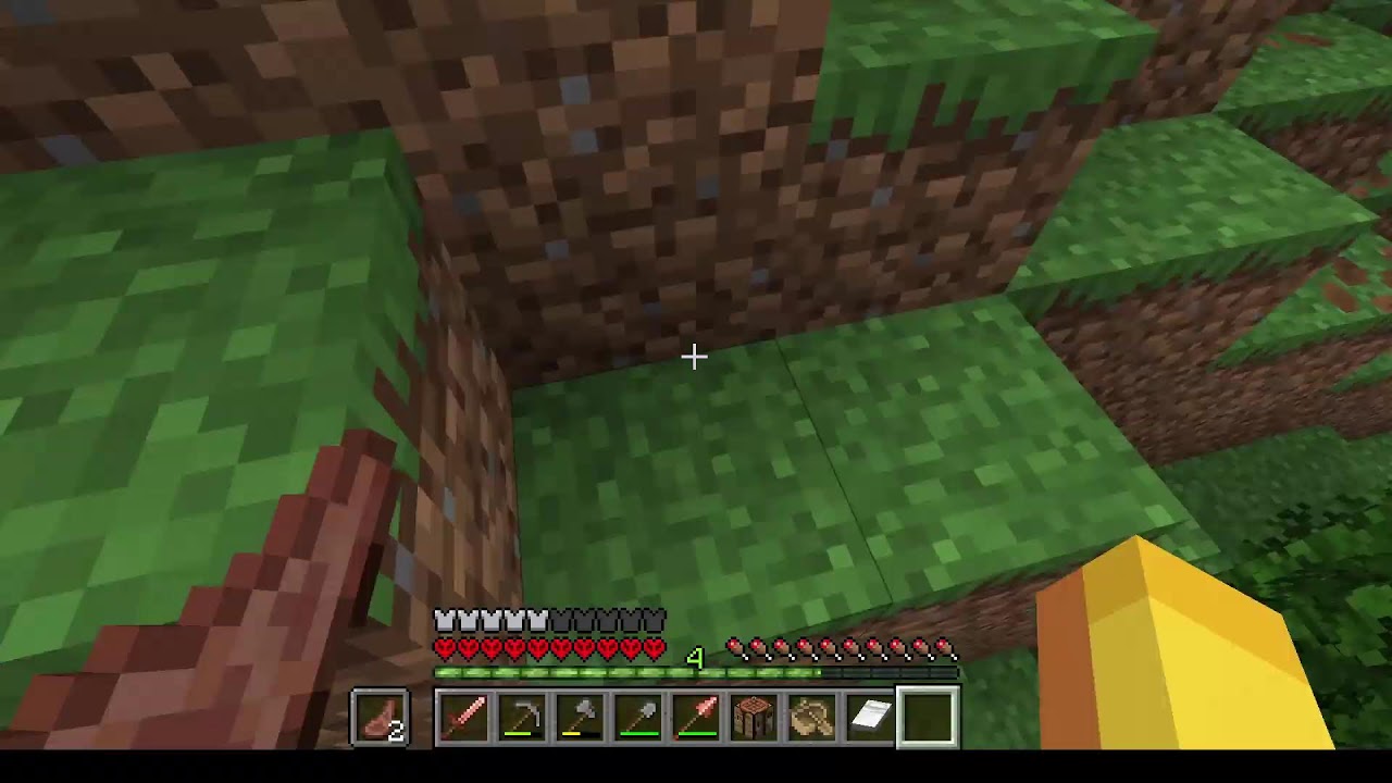 Gram w ETS 2 i minecraft 