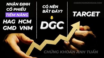Hóa Chất Đức Giang (Cổ Phiếu DGC) Khớp Lệnh Kỷ Lục - Có Nên Bắt Đáy?