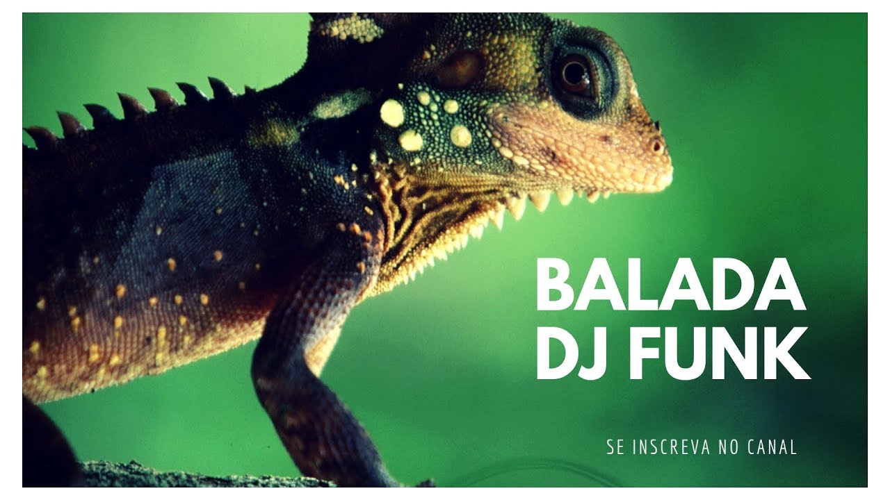 FUNK AO VIVO RADIO BALADA DJ FUNK (12/10) O MELHOR FUNK / LIVE FUNK OS MELHORES FUNK DO BRASIL