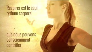 LeaderFit/NirvanaFitness - La science derrière