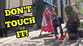 Bushman Prank | I Left a Trap for General Conference Tourists... 😂 #funny