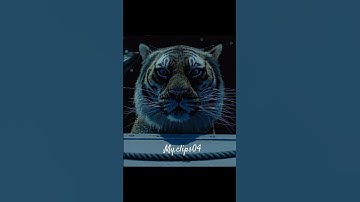 “Life of pi”🫶  #trendingshorts #song#life #trendingshorts #viralvideoshorts