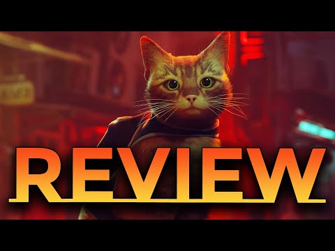 Review] Em Stray, viver como um gato é bom demais - mesmo em um futuro  sombrio