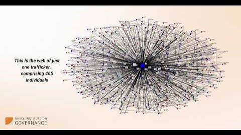 Deconstructing a criminal network involved in illegal wildlife trade