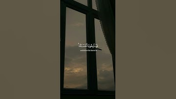 مِن سُورة الزمر | القارئ : أحمد النفيس