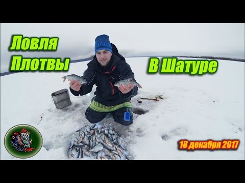 ловля ротана зимой в шатуре