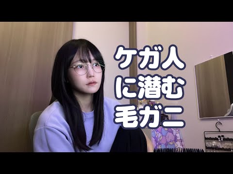 れもん 2点 楽天市場】18-8扇型ﾚﾓﾝ絞り : メニューブックの達人楽天市場店