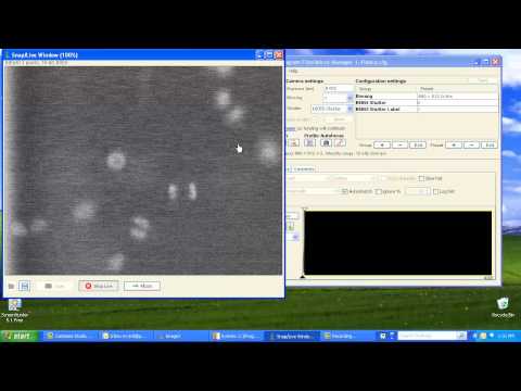Basic Digital Microscopy with MicroManager