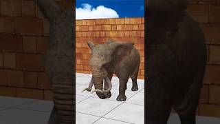 Cute Animal Fountain Animation 3rd Part  funny  viral trending cartoon shorts  