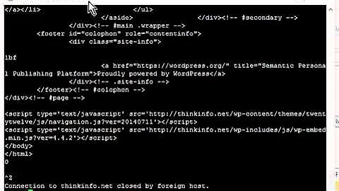 Using Telnet to test HTTP on port 80