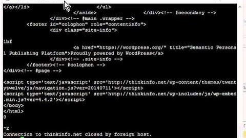 Using Telnet to test HTTP on port 80