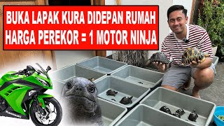 Jual Kura Depan Rumah  Perekor Seharga Motor Ninja