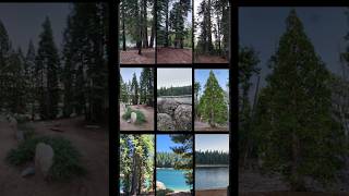 United States crossed 5% on Photos From Icehouse California (Bonus footage from paddleboard), day 447