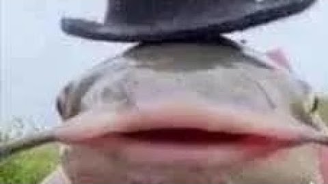 game scratch ujian praktek (ending 1)