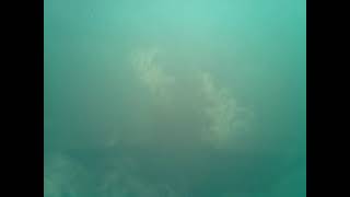 Clouds Timelapse 9/12/21