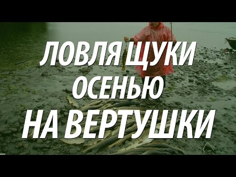 блесна для ловли щуки на спиннинг осенью