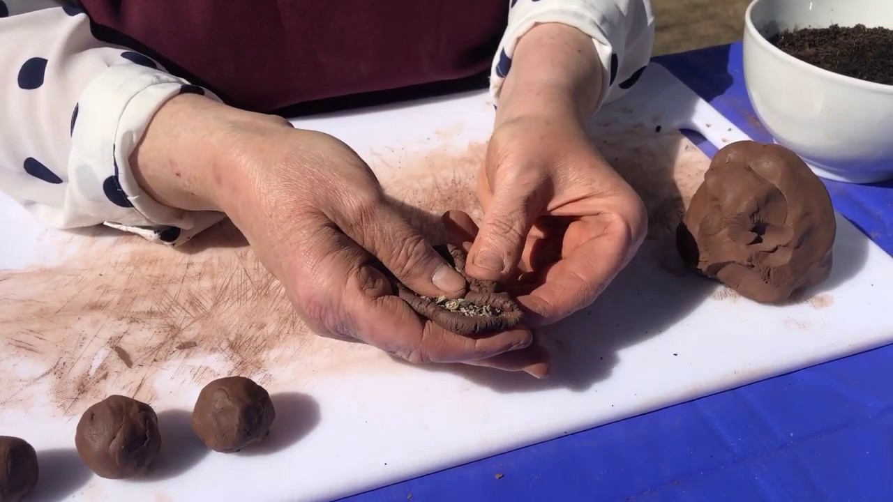 How to make Bee Bombs ActivHome YouTube