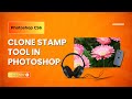 How to Use Clone Stamp Tool in Photoshop CS6 | Complete Tutorial for Beginners