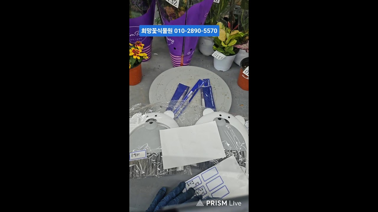 ❤라이브❤봄이오는 소리