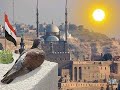 الله عليكي يا مصر Exclusive 