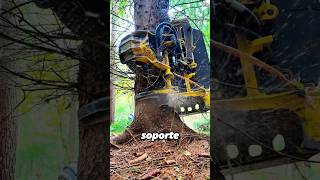 John Deere fully automatic logging machine#amazing #didyouknow #knowledge #fyp #youtube